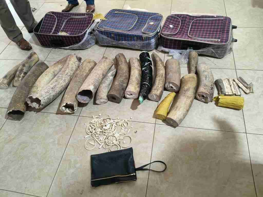 La contrebande d'ivoire par la MINUSCA à l'Aéroport de Bangui